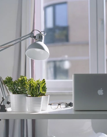 sunny photo with a window in the background and a desk in the foreground with a lamp, some plants, and a laptop