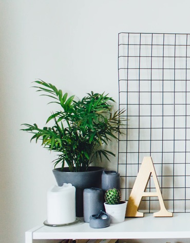 photo of a desk with plants, candles, and a wooden decoration